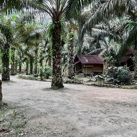 Sahom Valley Resort Jeram (Perak) Exterior foto