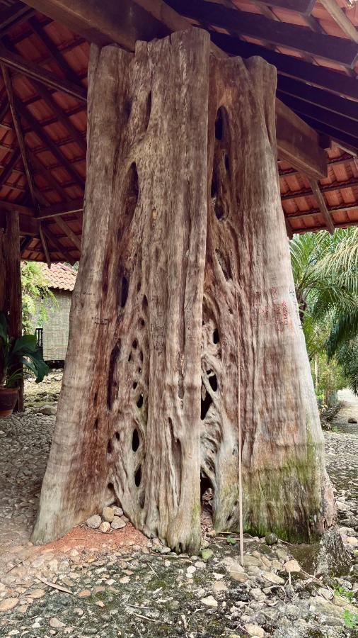 Sahom Valley Resort Jeram (Perak) Exterior foto